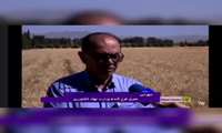  تولید هوشمند گندم در کشور