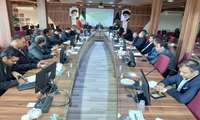 آغاز تمهیدات استان برای رصد و کنترل هجوم احتمالی ملخ صحرایی