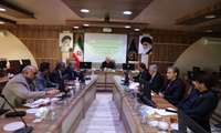 صیانت از مزیت انحصاری زرشک خراسان جنوبی در دستور کار مسئولان استان