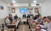 تأکید بر تسهیل سرمایه‌گذاری در طرح‌های گلخانه‌  در زیرکوه