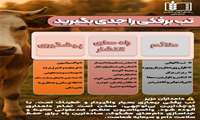 تب برفکی