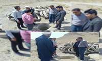  بازدید میدانی معاون فرماندار وسرپرست مدیریت جهادکشاورزی از قنات روستای علی  هدیه