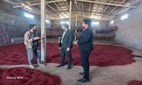 بازدید معاون فنی و مسئول واحد صنایع از واحد بسته‌بندی زرشک روستای پایهان