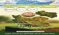 اینفوگرافی ظرفیت مرغداری‌های گوشتی