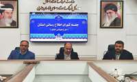 آرامش در بازار خراسان جنوبی/ قیمت‌ مرغ کاهشی شد
