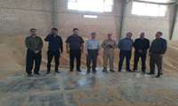 رصد خرید گندم شهرستان خوسف از مزرعه تا مرکز خرید