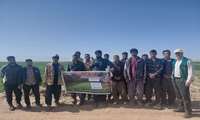 برگزاری روز مزرعه تغذیه مزارع گندم در روستای مهمانشهر شهرستان زیرکوه