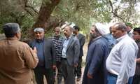 روستای فسون مقصد دهگردشی مسئولان خوسف؛ قنات و محدوده درخت زیتون در کانون توجه