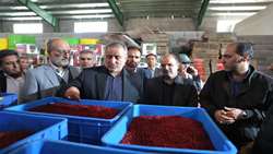 صادرات زرشک خراسان جنوبی، نمایانگر پتانسیل بالای استان در عرصه محصولات کشاورزی