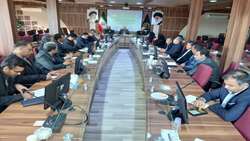 آغاز تمهیدات استان برای رصد و کنترل هجوم احتمالی ملخ صحرایی