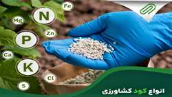 بیش از 10 هزار تن انواع کود یارانه ای در استان خراسان جنوبی توزیع شد