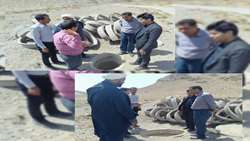  بازدید میدانی معاون فرماندار وسرپرست مدیریت جهادکشاورزی از قنات روستای علی  هدیه