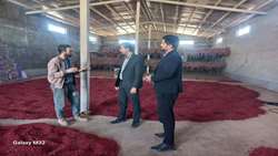 بازدید معاون فنی و مسئول واحد صنایع از واحد بسته‌بندی زرشک روستای پایهان