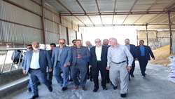 رصد مجتمع دامداری پیشرو در خراسان جنوبی با حضور استاندار و رئیس سازمان جهادکشاورزی