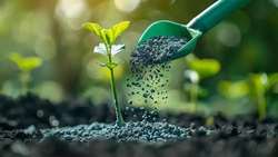 افزایش ۵۰ درصدی توزیع کود کشاورزی در خراسان جنوبی