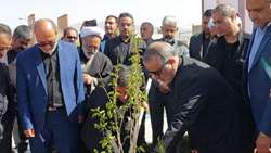 کاشت نهال امید در خراسان جنوبی 