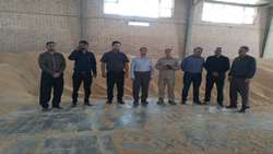 رصد خرید گندم شهرستان خوسف از مزرعه تا مرکز خرید