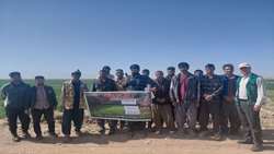  برگزاری روز مزرعه تغذیه مزارع گندم در روستای مهمانشهر شهرستان زیرکوه