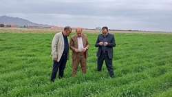 گامی مؤثر در مسیر خودکفایی کشاورزی
