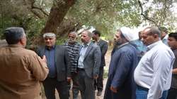 روستای فسون مقصد دهگردشی مسئولان خوسف؛ قنات و محدوده درخت زیتون در کانون توجه