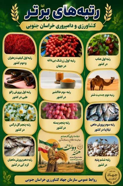 Info 