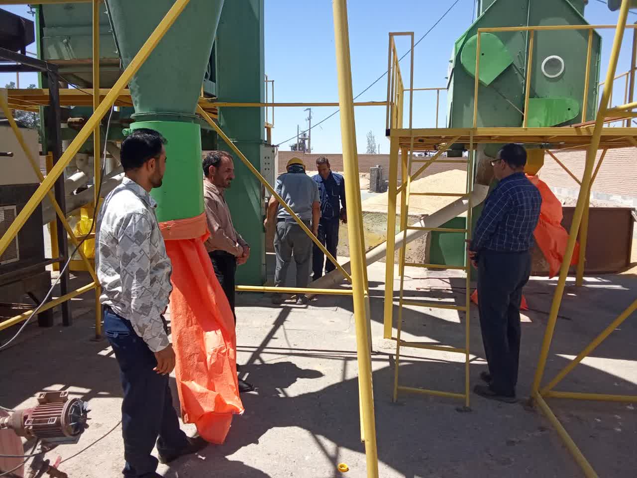 آغاز عملیات بوجاری بذور گندم، جو و ترتیکاله در خراسان جنوبی