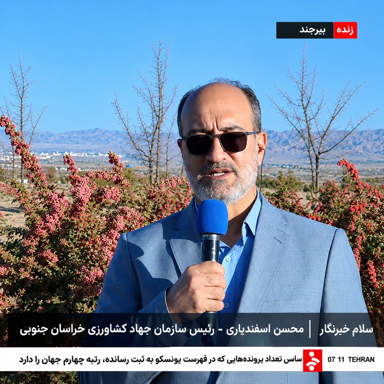 خراسان جنوبی با دارابودن حدود ۳۰ هزار هکتار، همچنان قطب اصلی تولید زرشک کشور